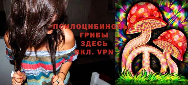 спиды Кропоткин