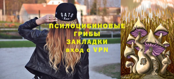 spice Кстово