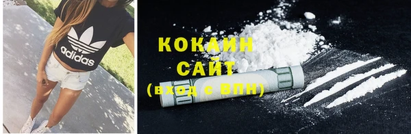 СК Осинники